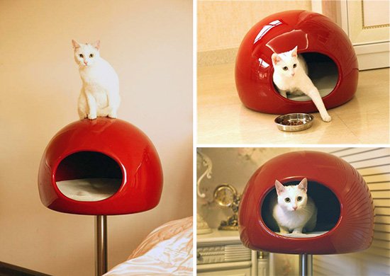 PetDreamHouse Kattenmand Lollipop rood PetDreamHouse Kattenmand Lollipop rood