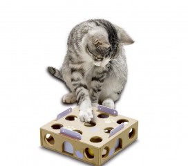Karlie Cat Activity Box
