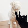 Soonsalon DOG Krabpaal wit met zwarte kat