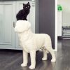 Soonsalon DOG Krabpaal wit met zwarte kitten groot